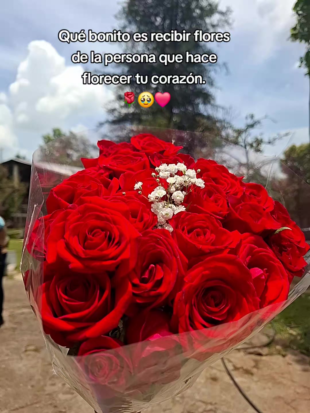 @🤠🐴🐮*Lulú*👩🏫🧠🫀