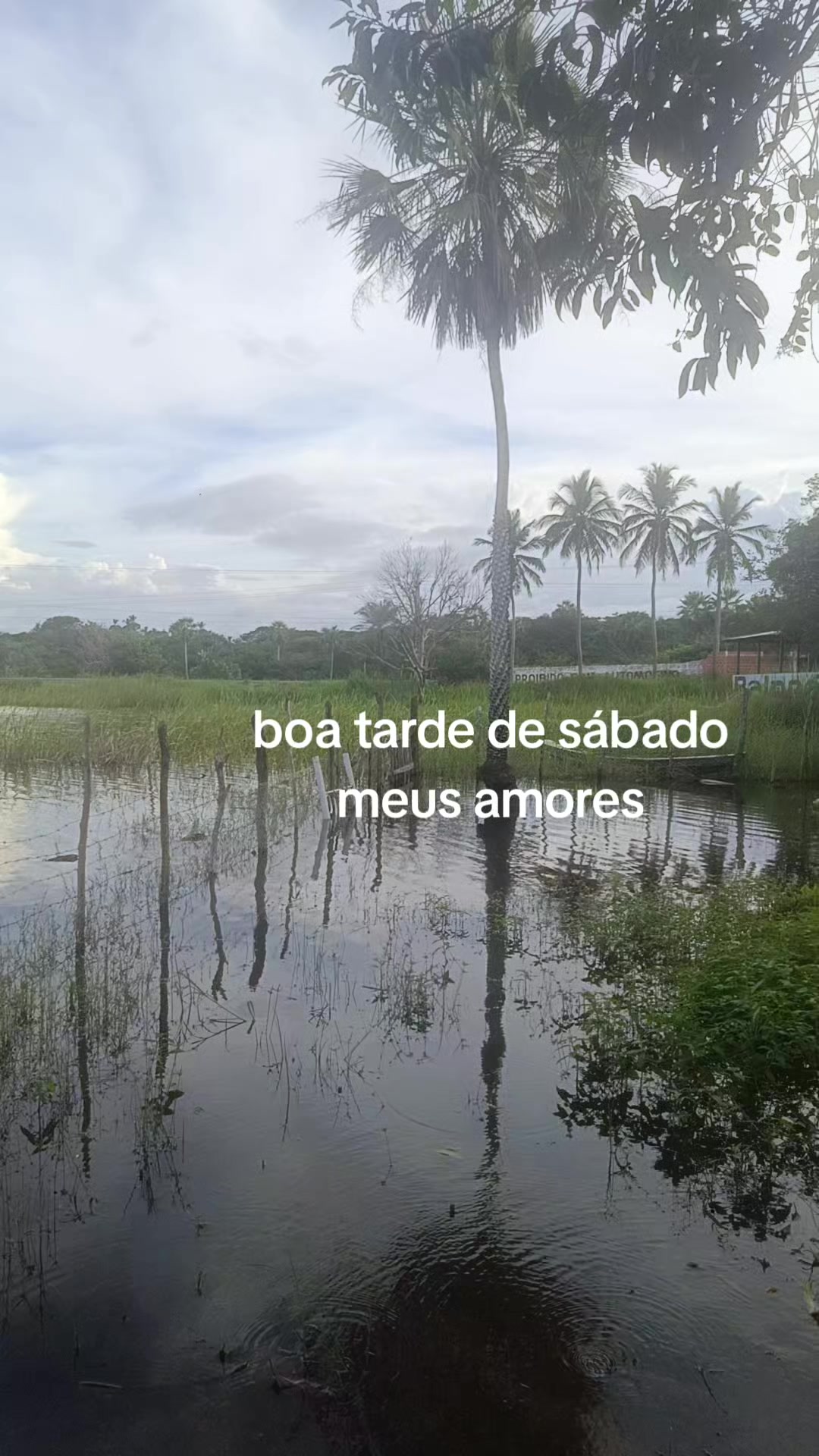 @Sidinha Silva