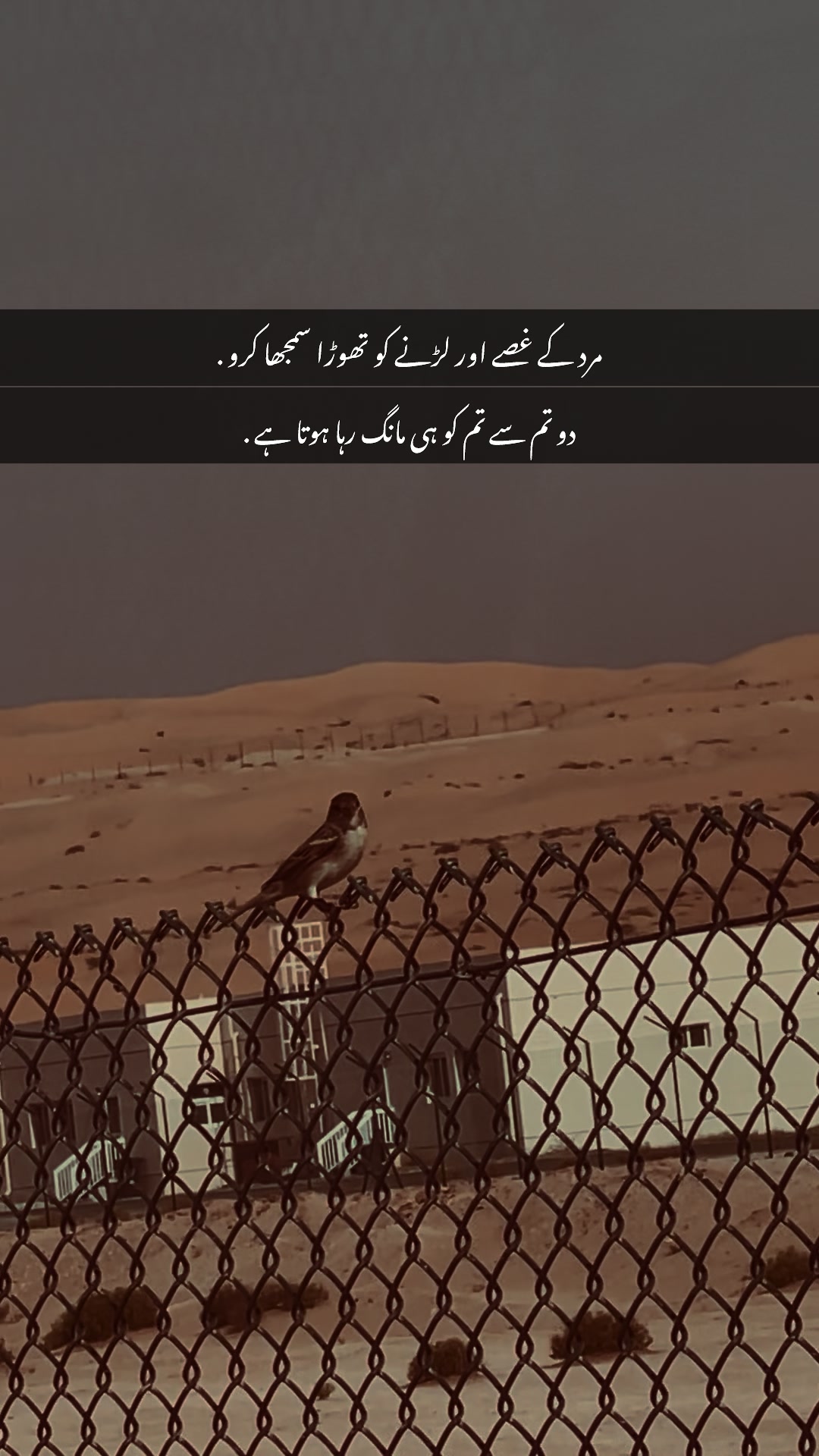 @🇵🇰بادشاہ 👑