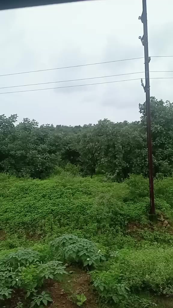 @दान बहादुर के . सी . (१२)
