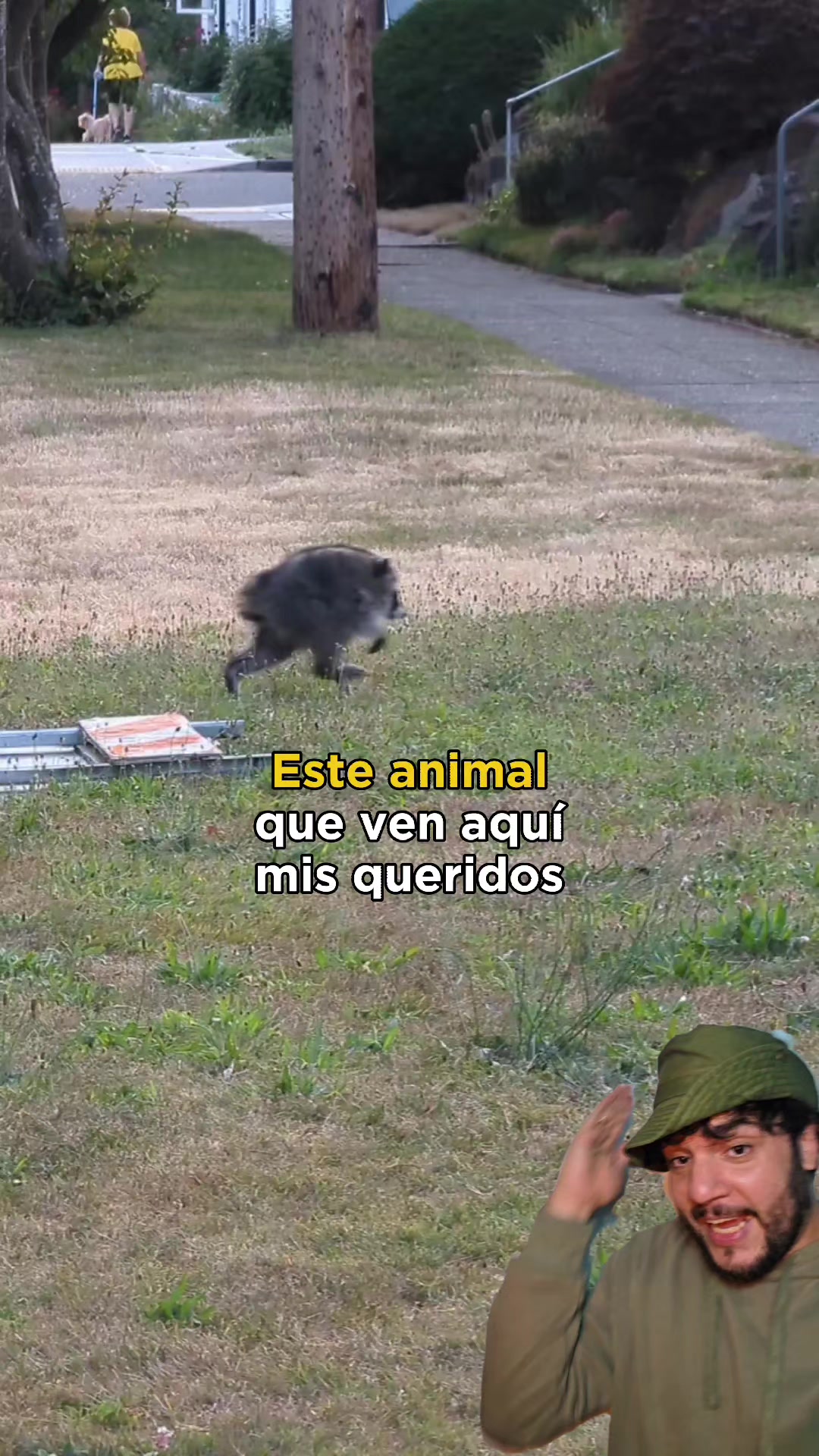 @Animaldex