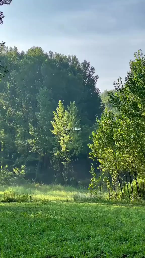 @ثاقب خان 🍂🕊️