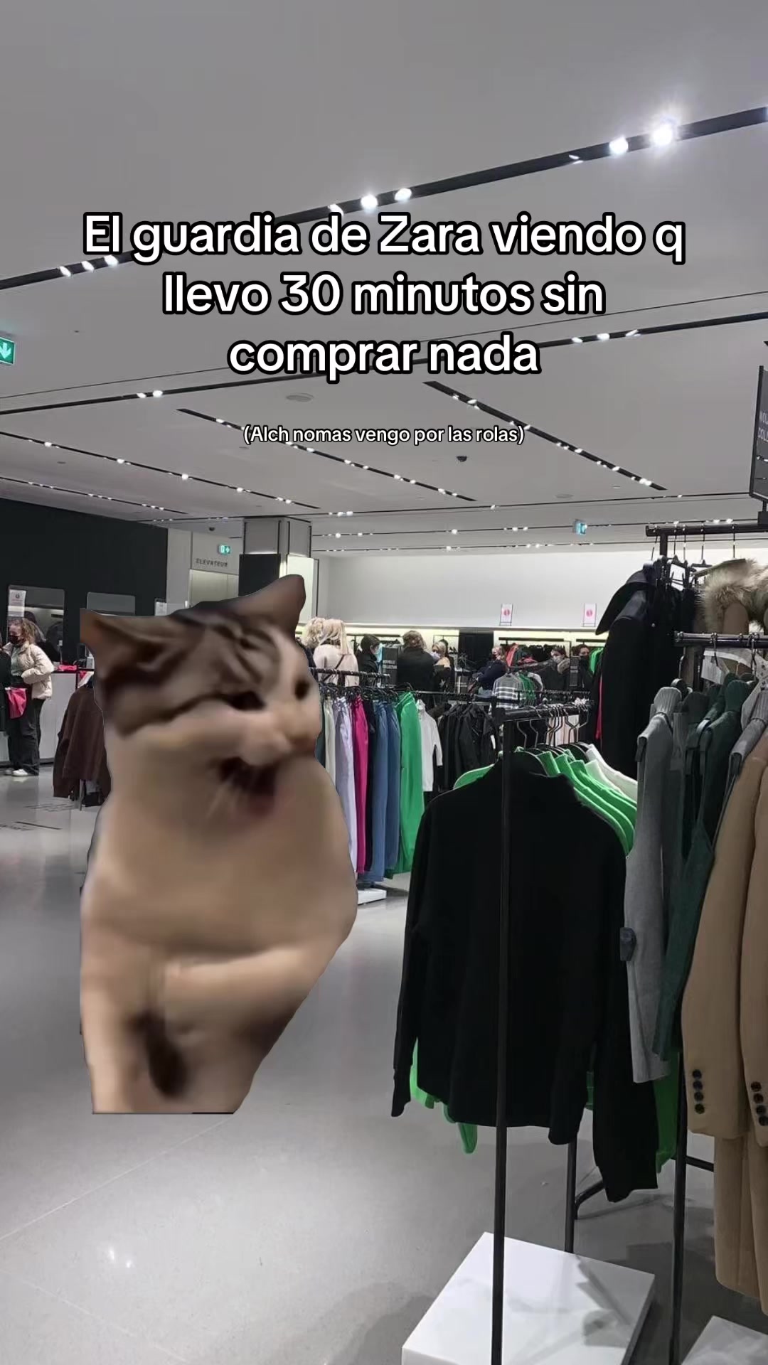 @zaratemazos