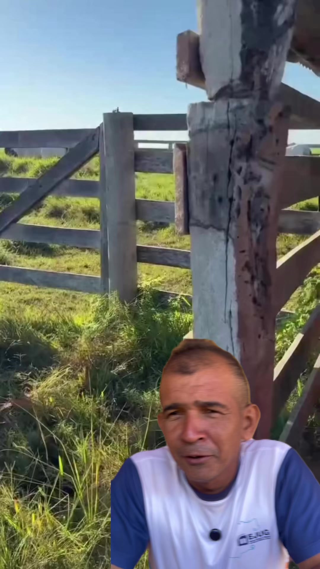 @Canal Vida na Roça