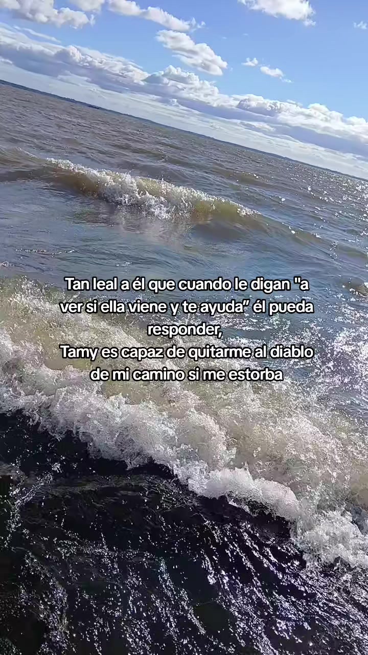 @tamysilva🐣🧡