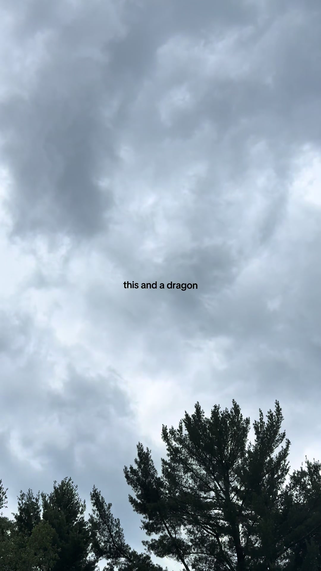 @𝔪 ☾