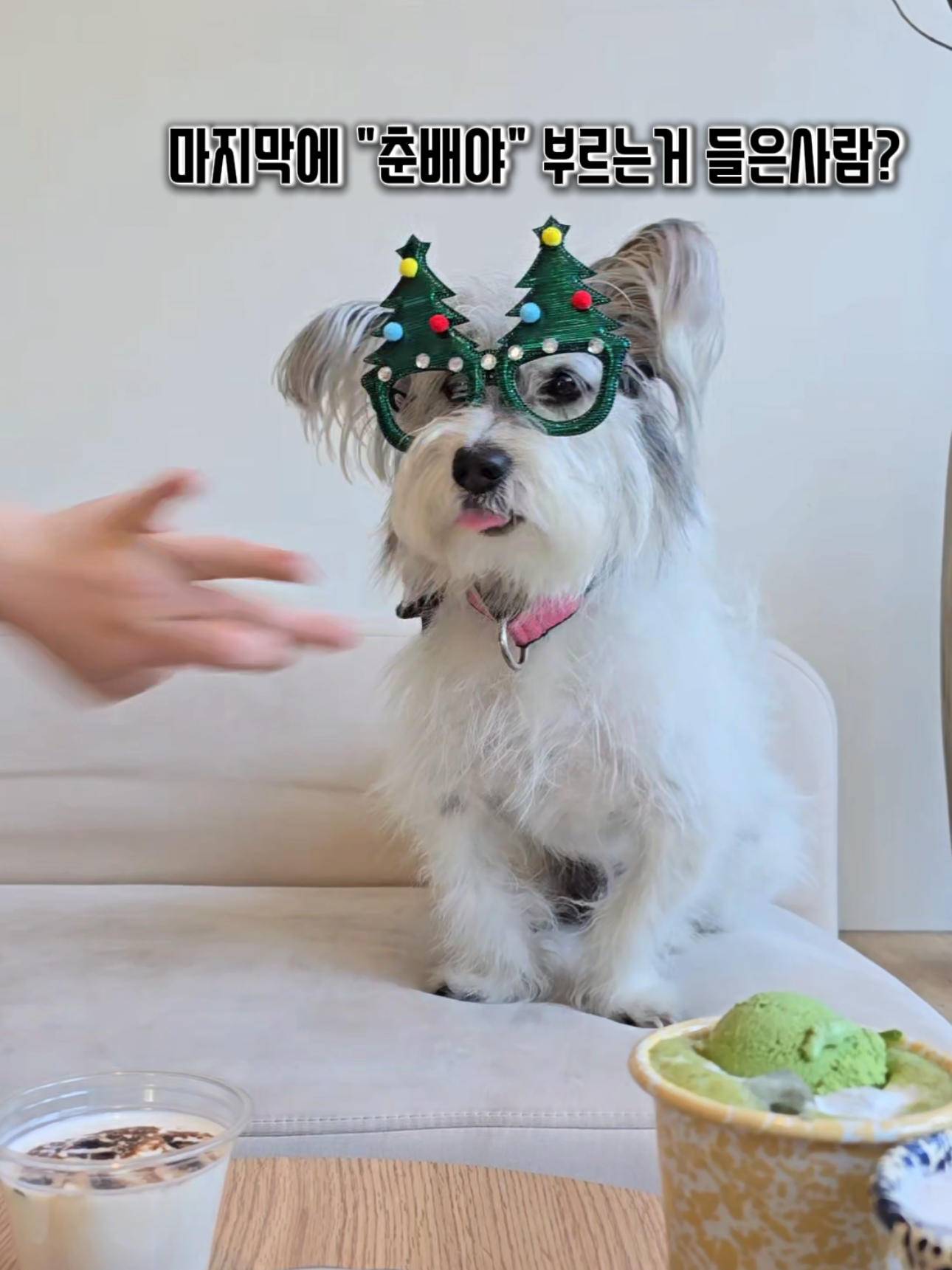 @춘가드