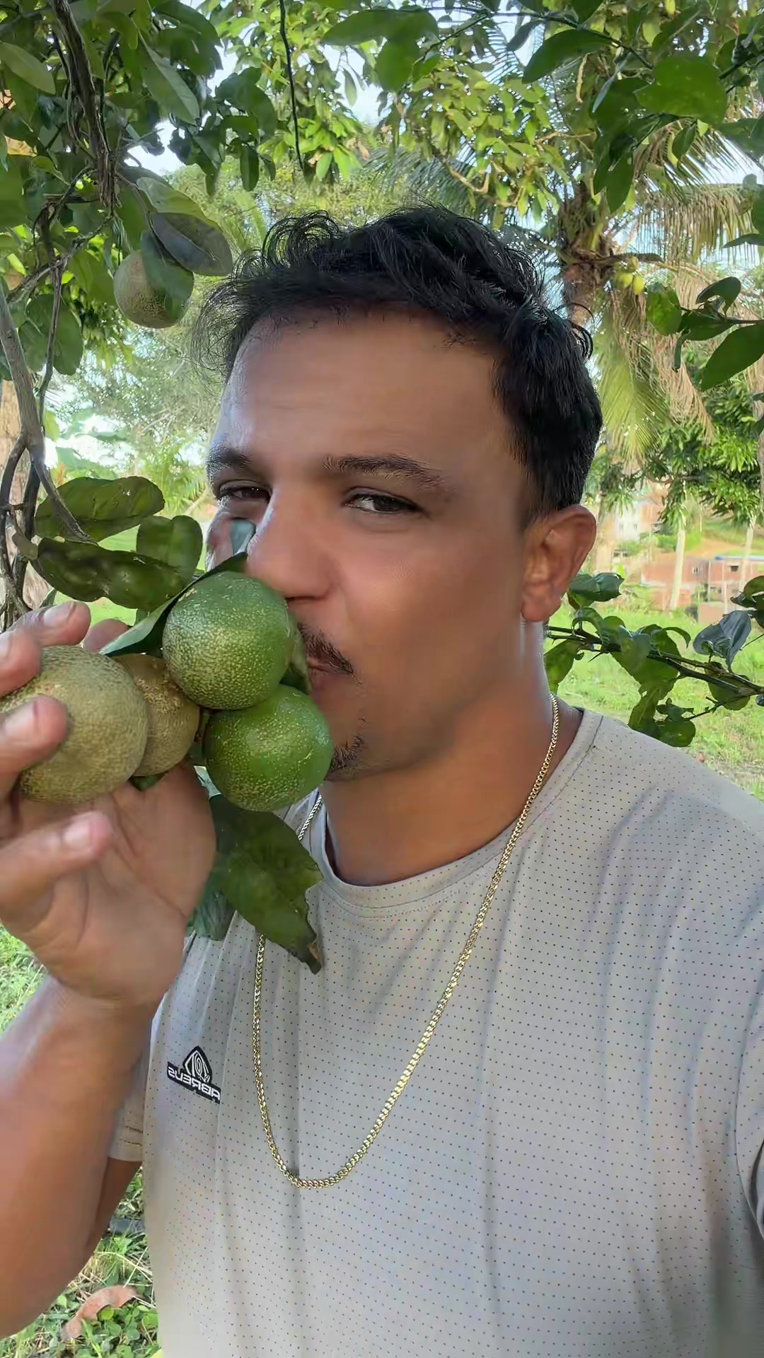 @Zinho