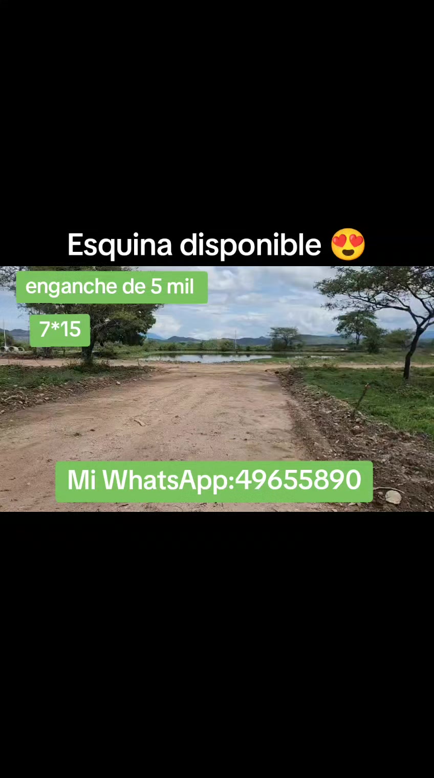 @Mario López asesor