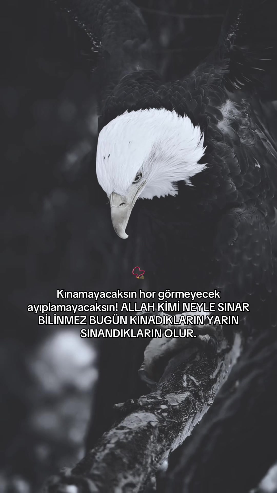 @çılgın 🚴♂️🧿
