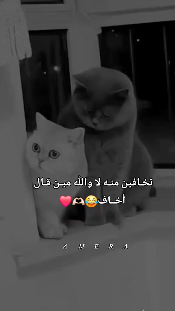 @𓆩❀❥🚶🏼♀️😔 أنا لست هنا❥❀❦𓆪