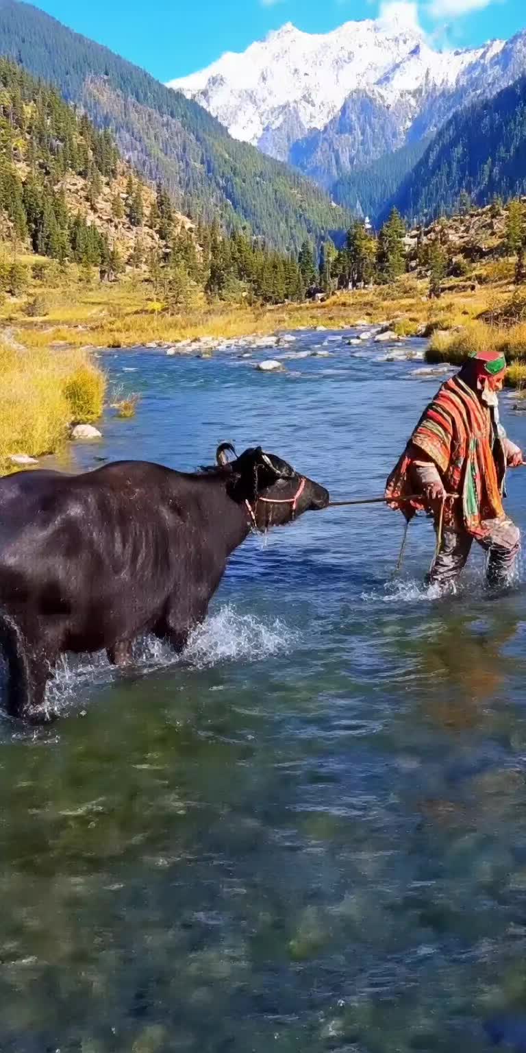 @Himachali Camper