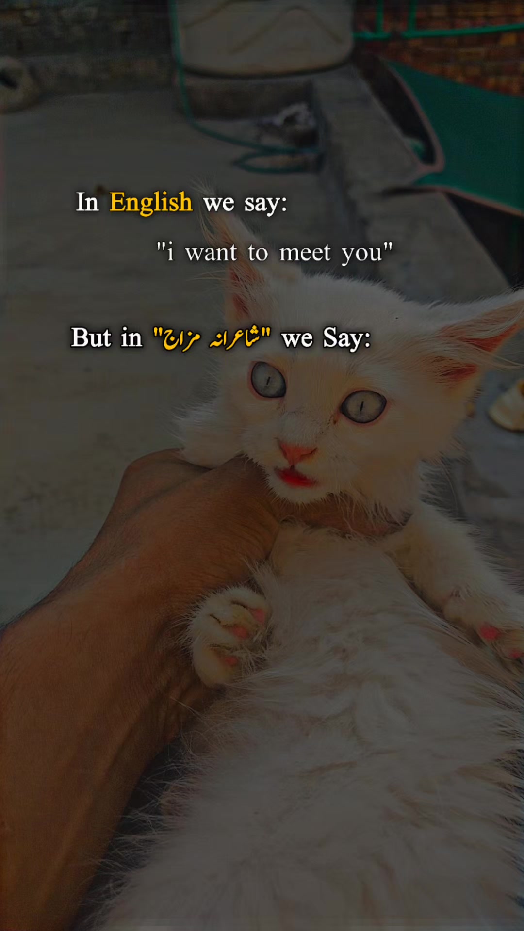 @Nazami