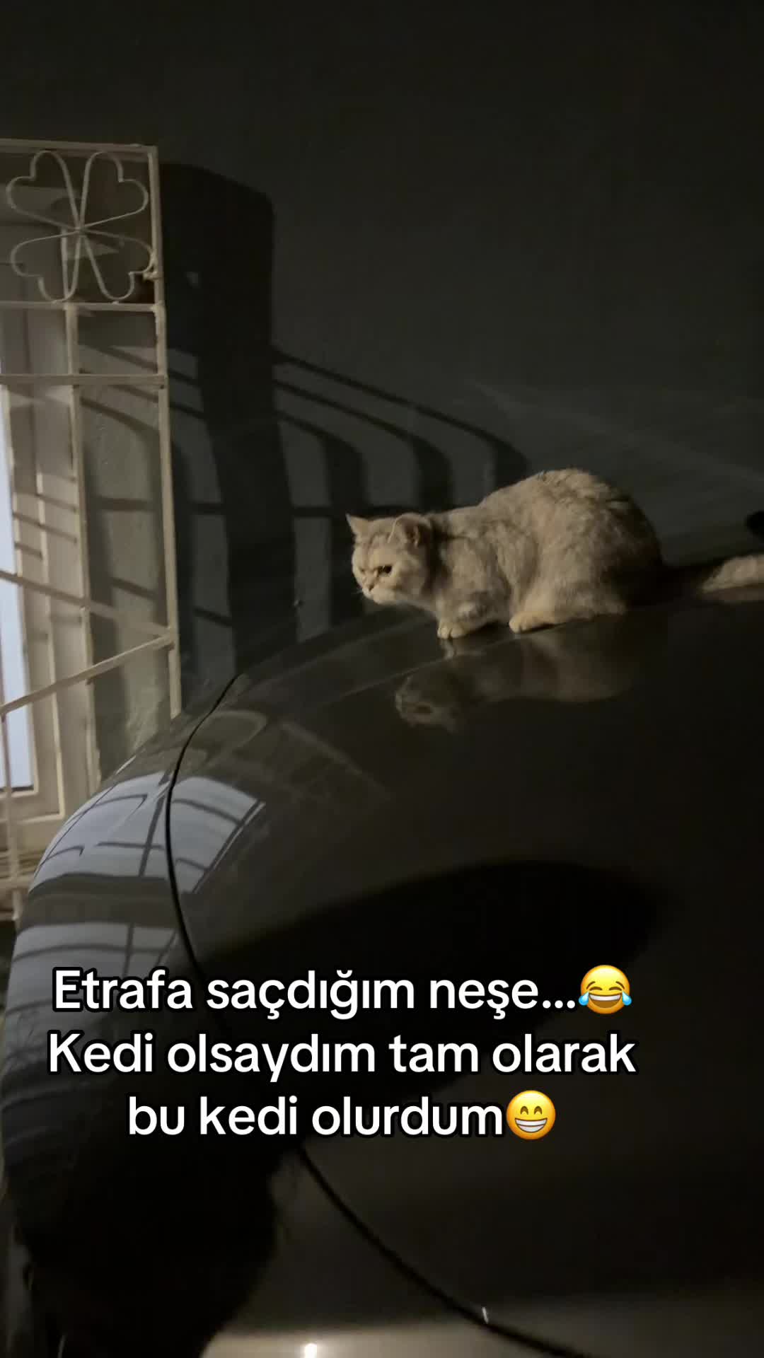 @sisa_firarda
