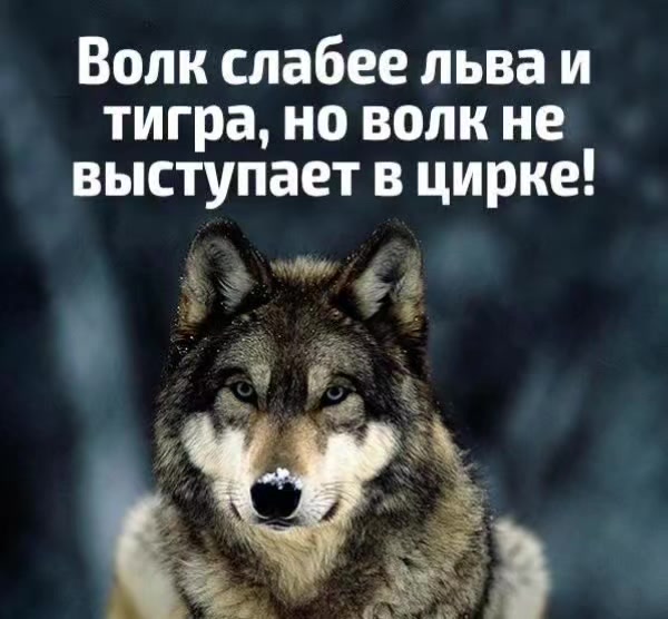 @💫Luna💫