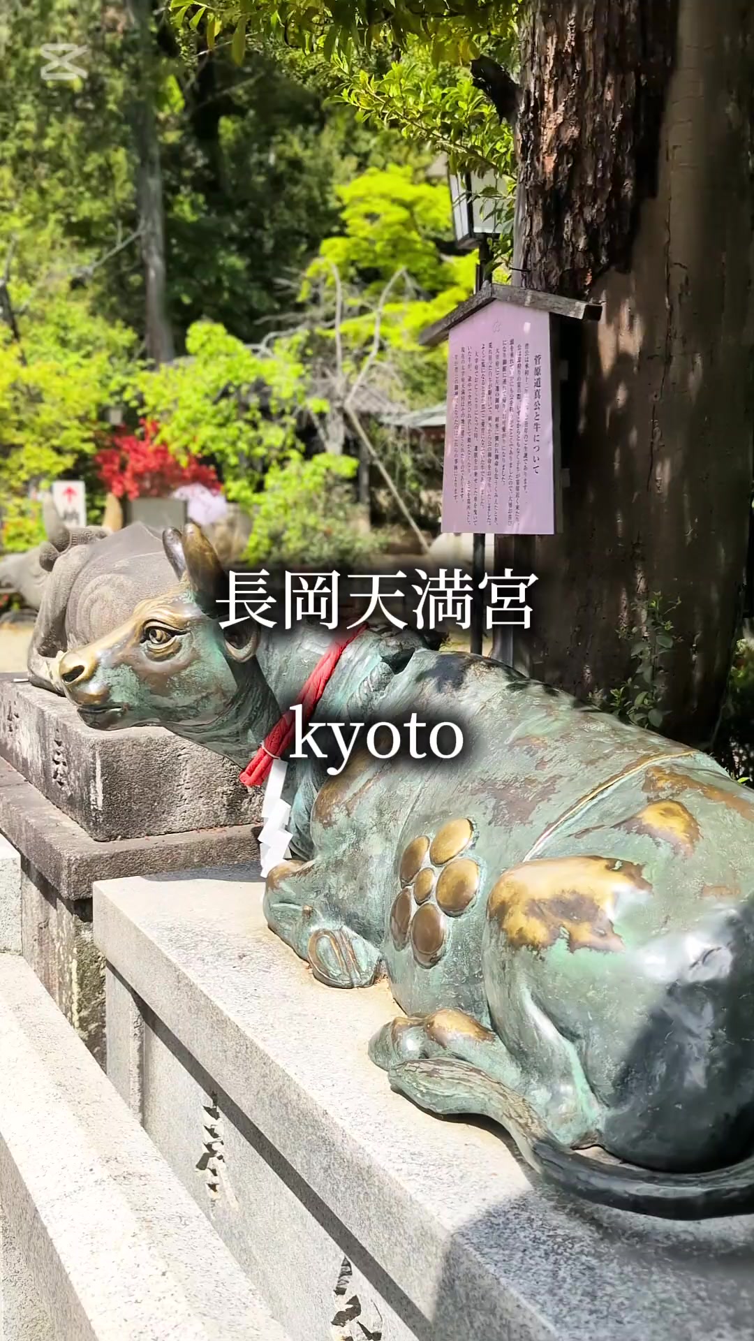 @のりのすけ【京都】