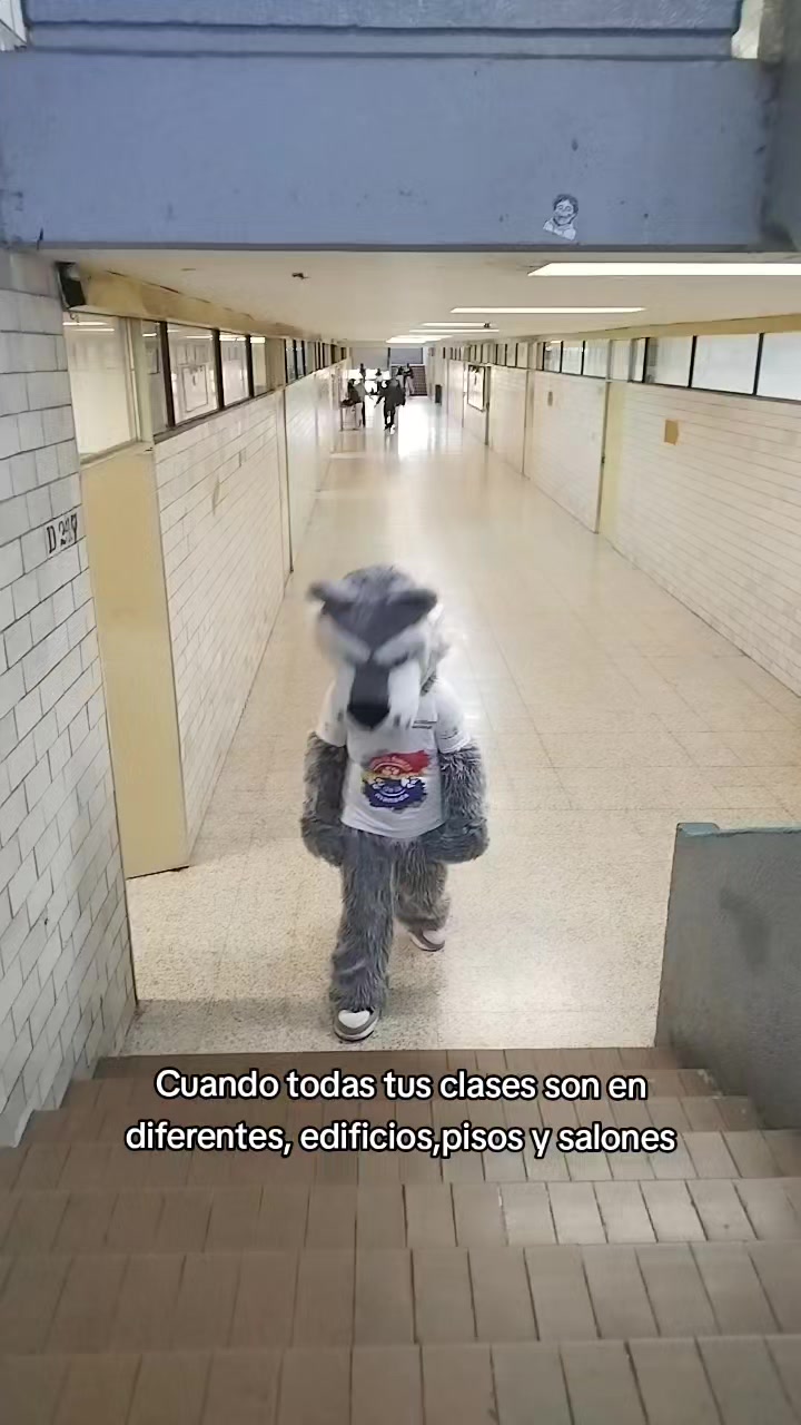 @Lobacho