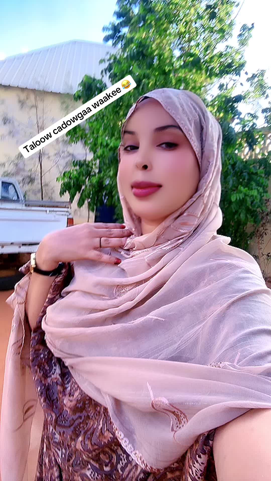 @Araweelo 🇱🇺