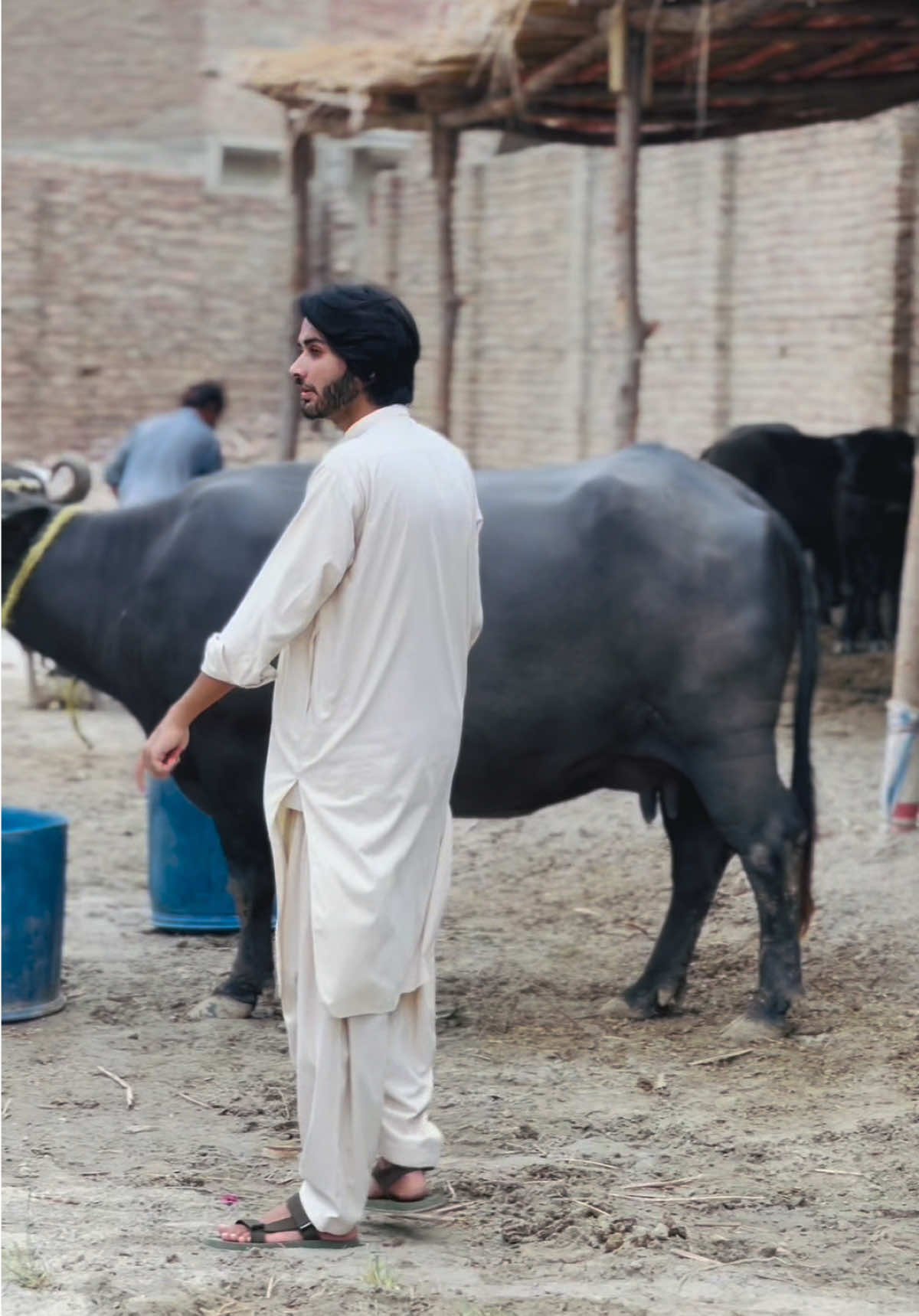 @Meer Siraj khan Jatoi 👑
