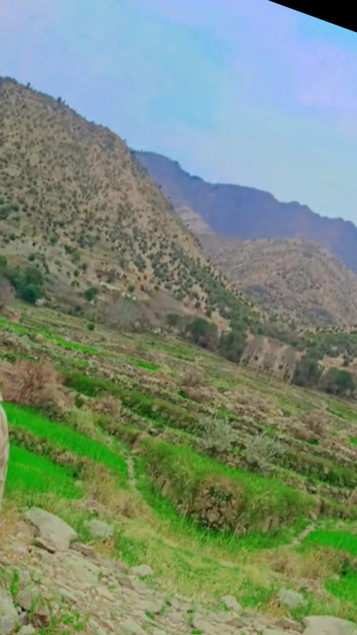 @دردمن افغان