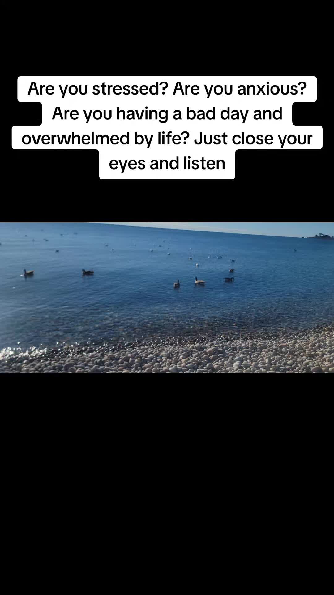 @CoolCanuck