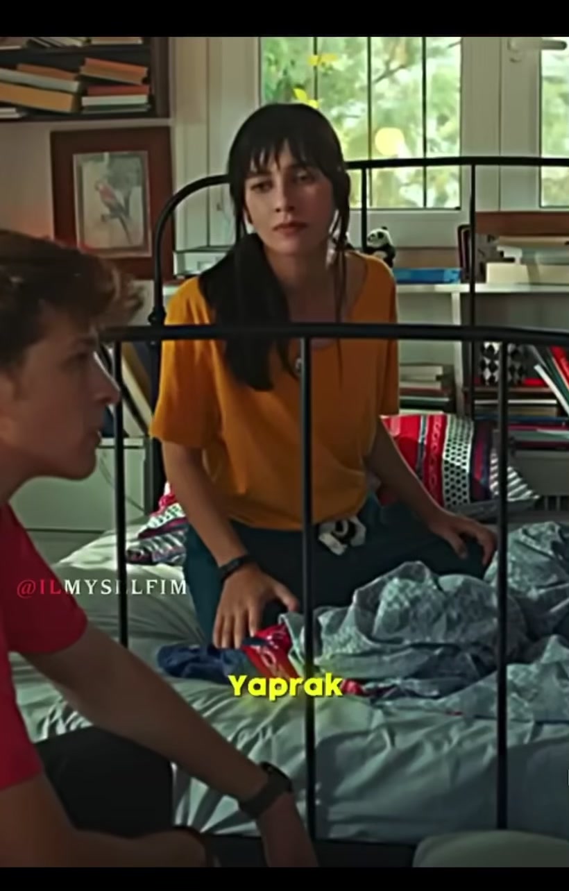 @Şeremet Kır