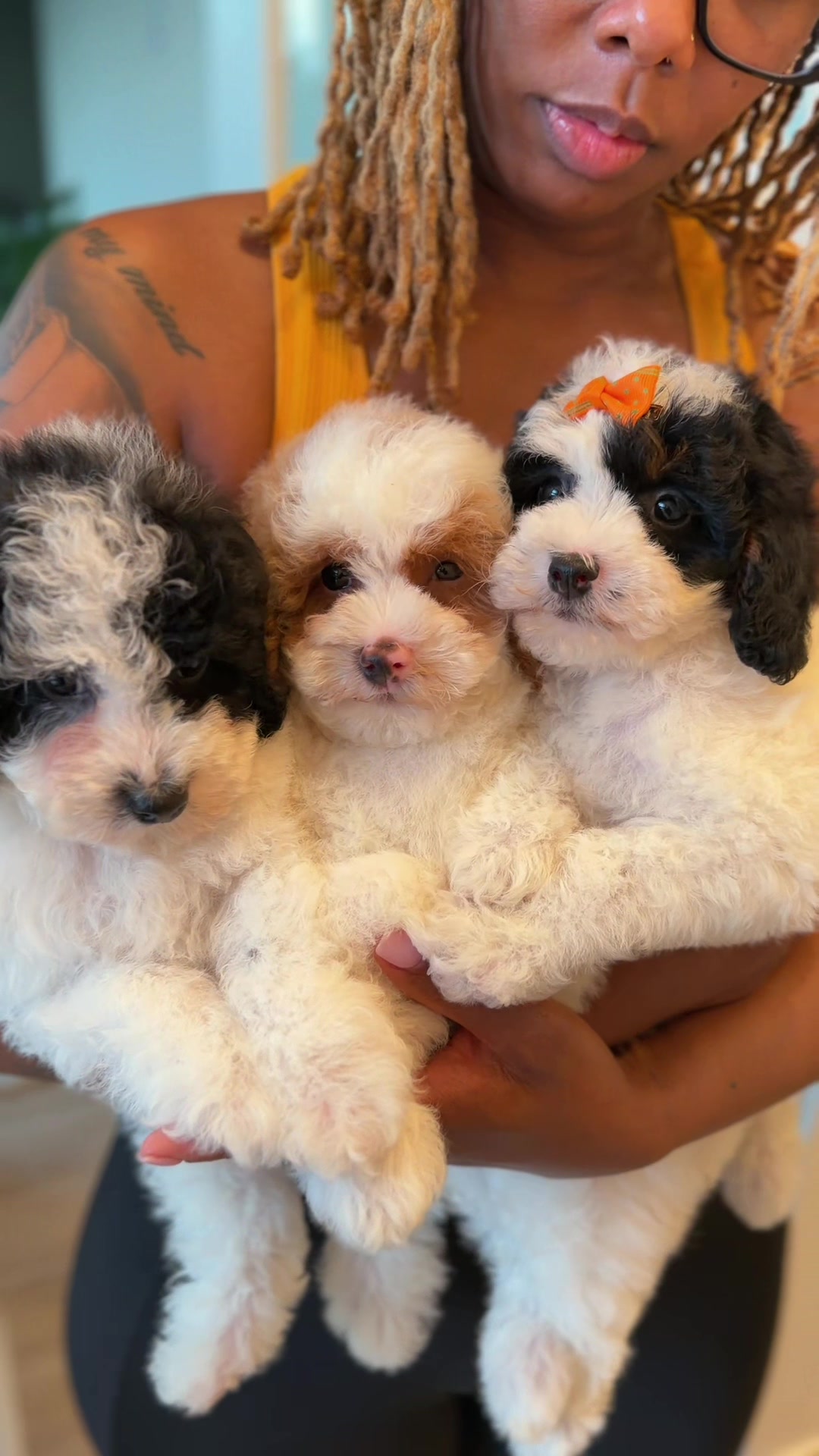 @Plush Pups By Reeds