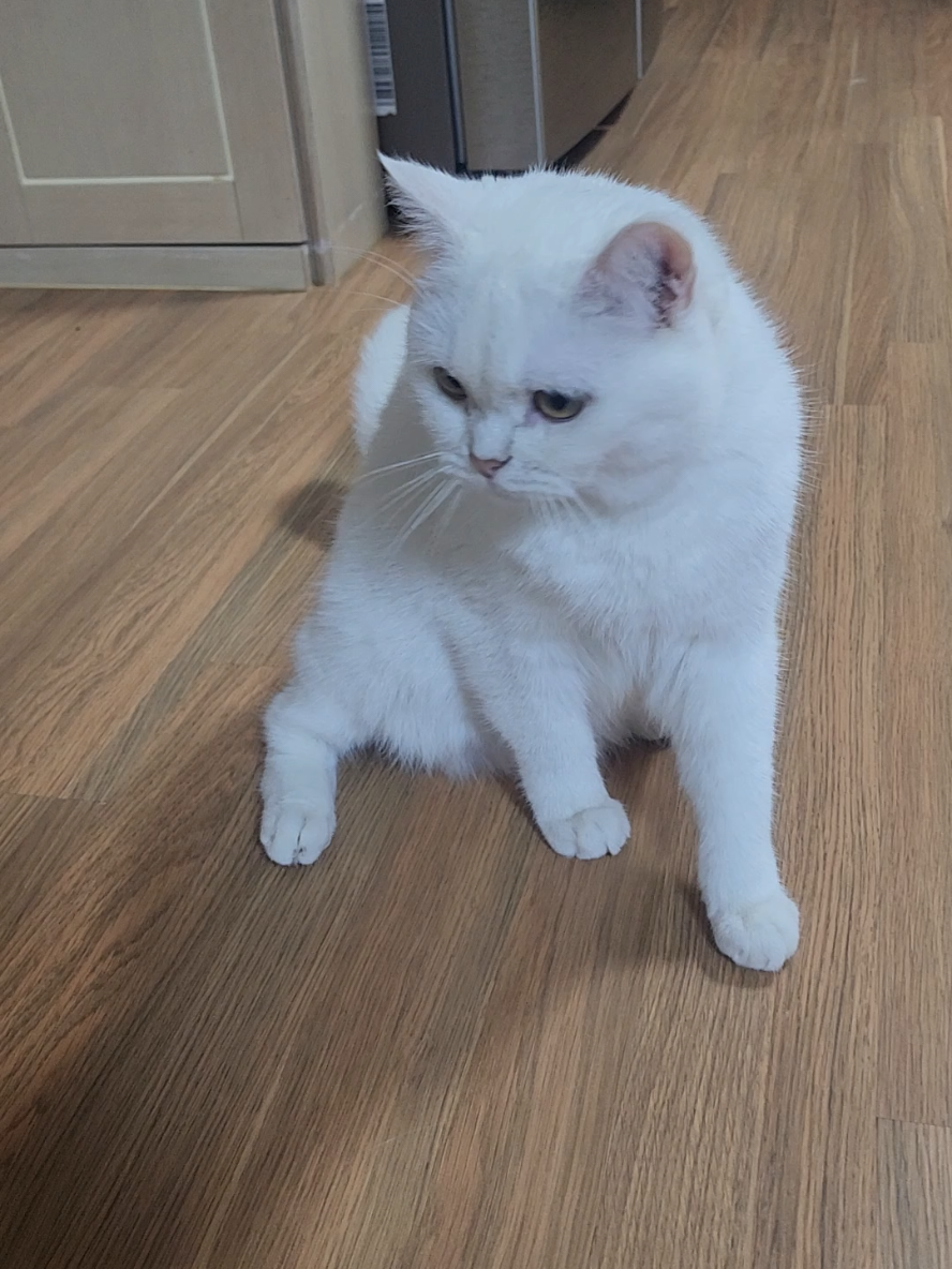 @박씨 거실