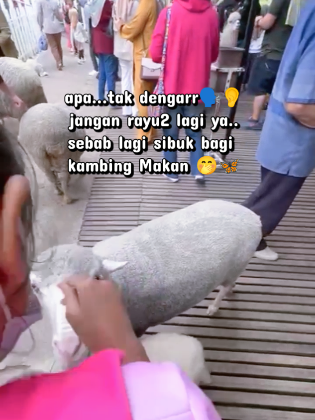 @BungaDhiya🦋🌹