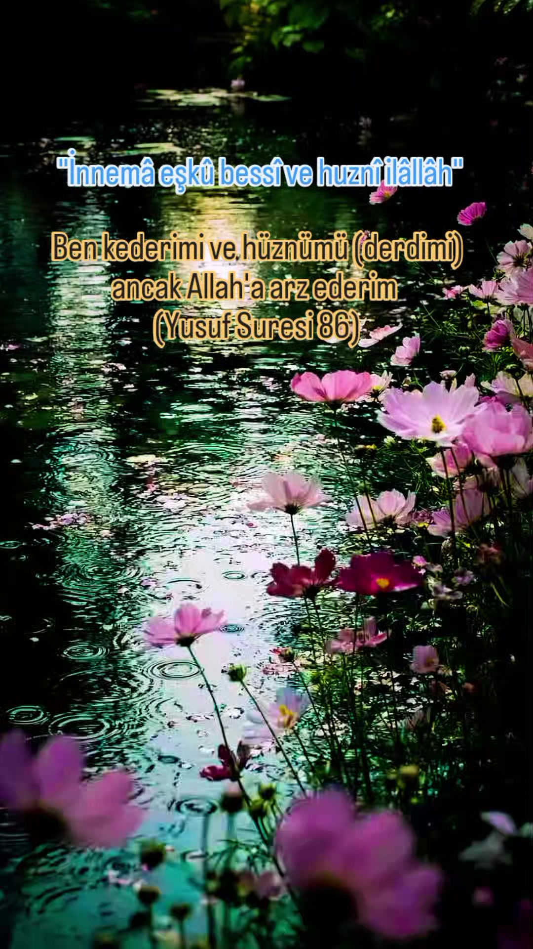 @Kur'an_ayet_hadis_ve_duâ