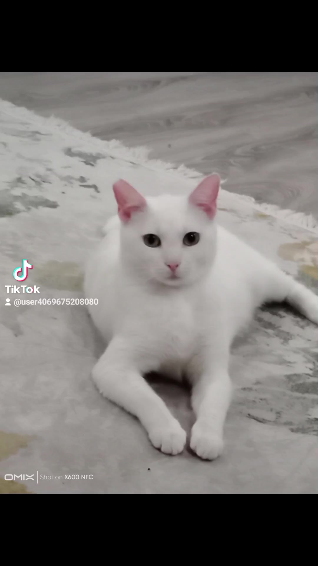 @Ali gül