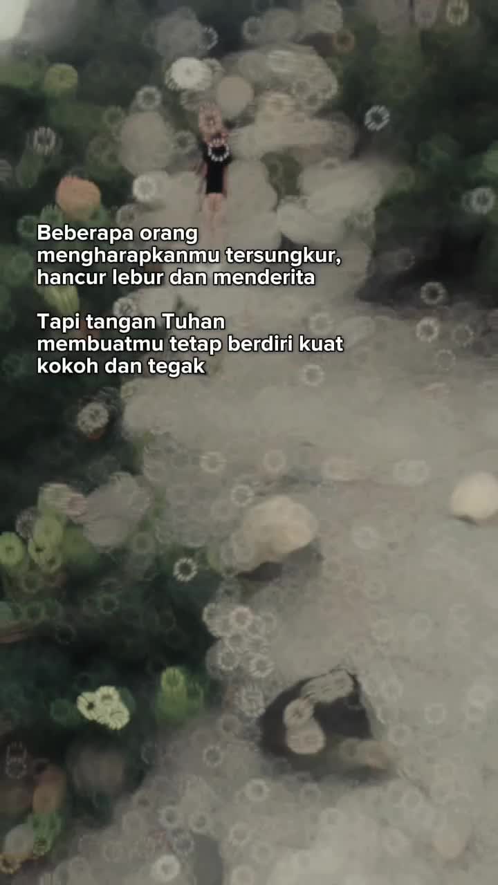 @nyanya174