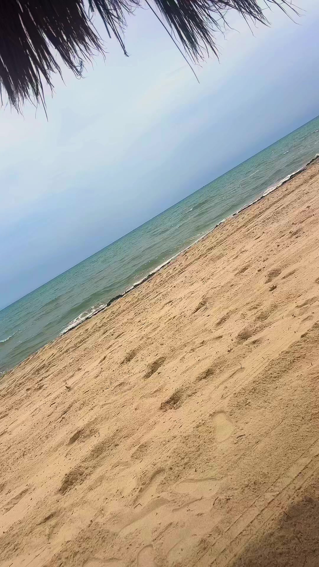 @mansourlagha