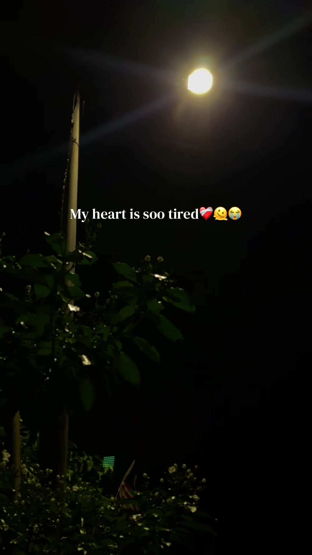 @๐ฆ