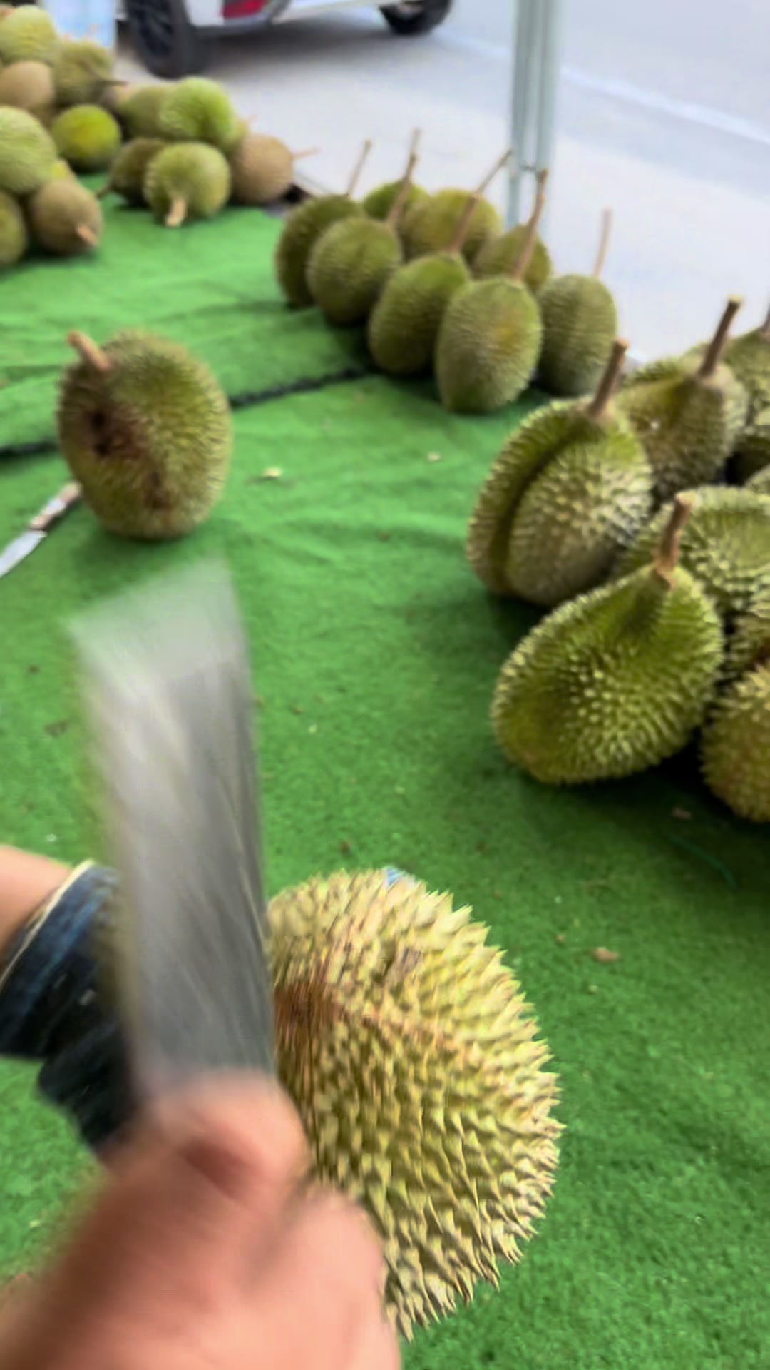 @Durian Batu 6