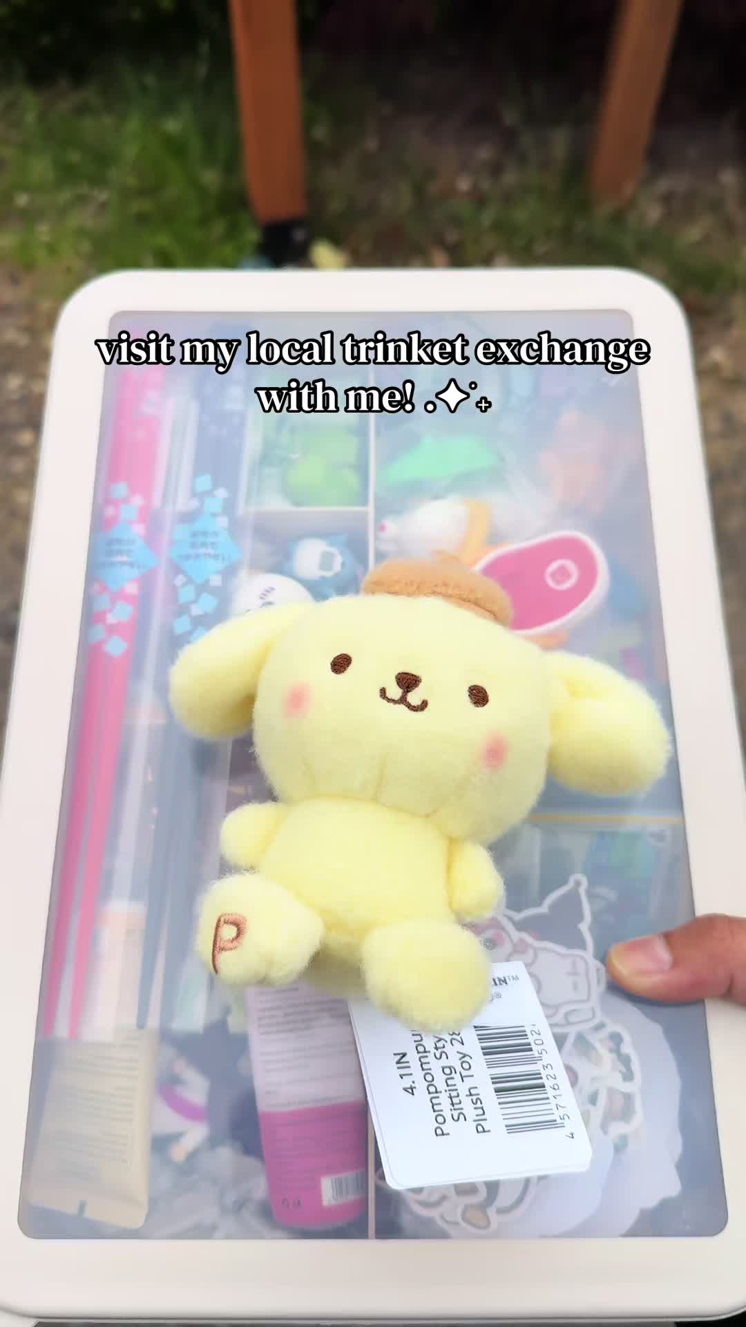 @ap 🍙 ⋆⭒˚.⋆
