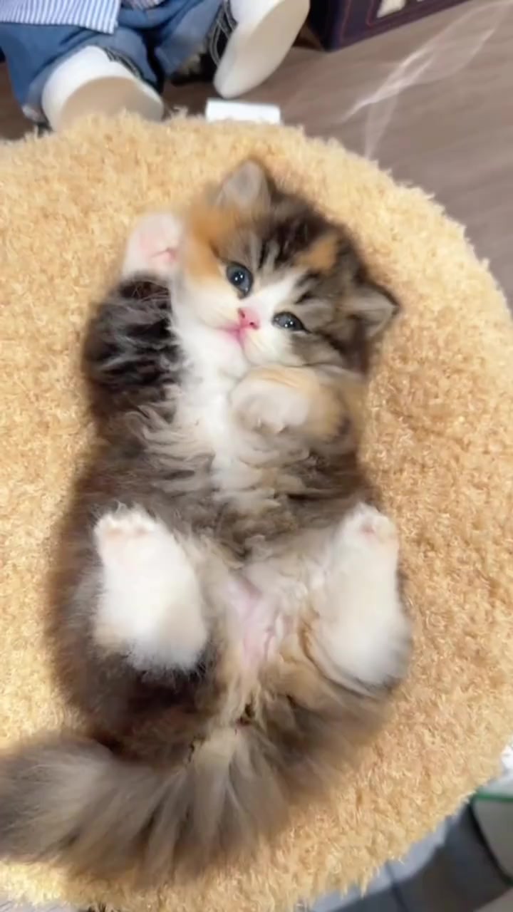 @trạm cute