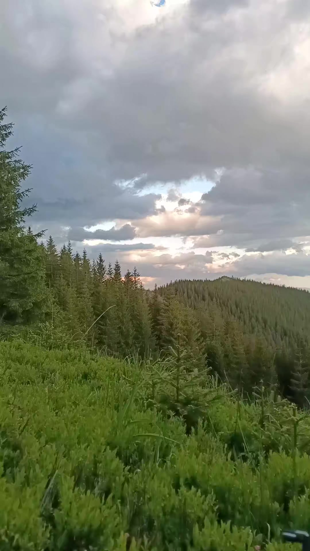 @Vanya_MK.🐊
