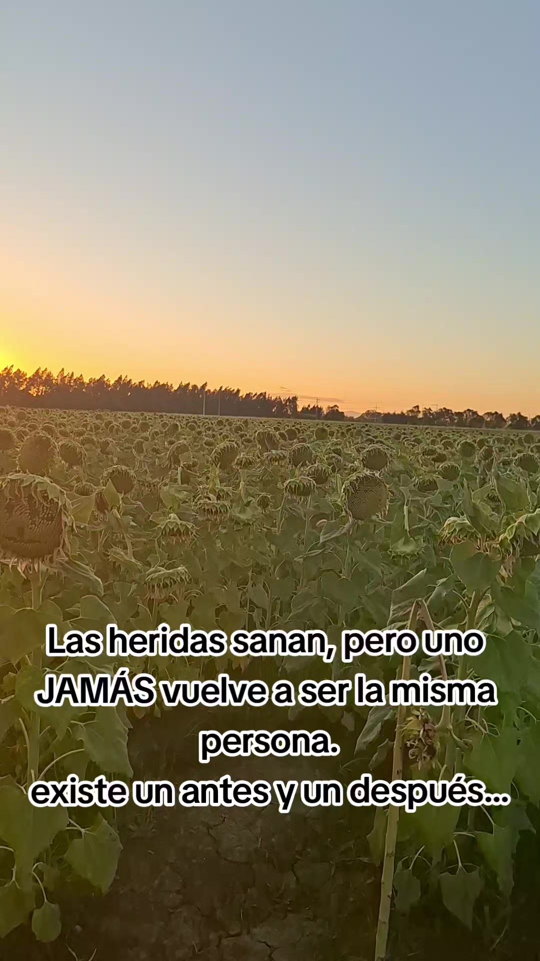 @Naschla Yamillette Z