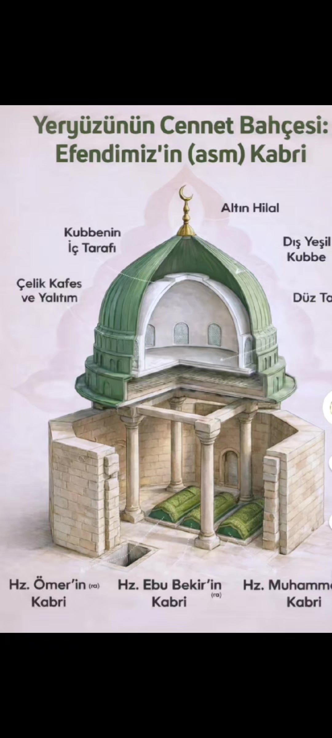 @Hamza koç