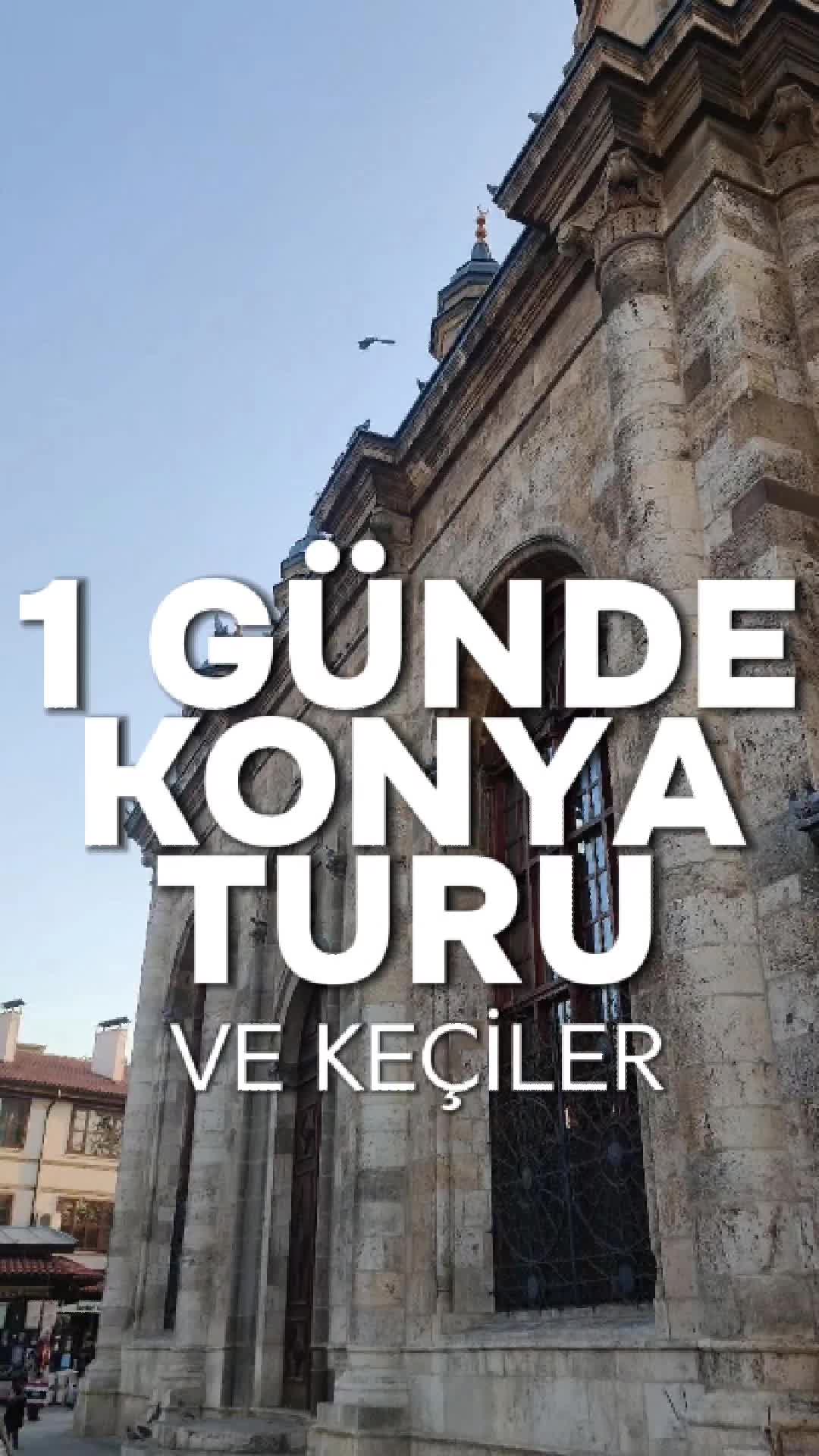 @Kutlu Bilgi