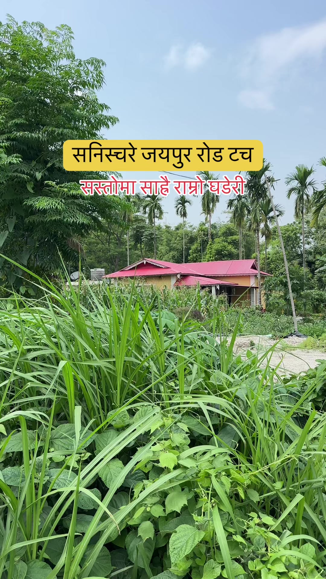 @Maikal ghar jagga