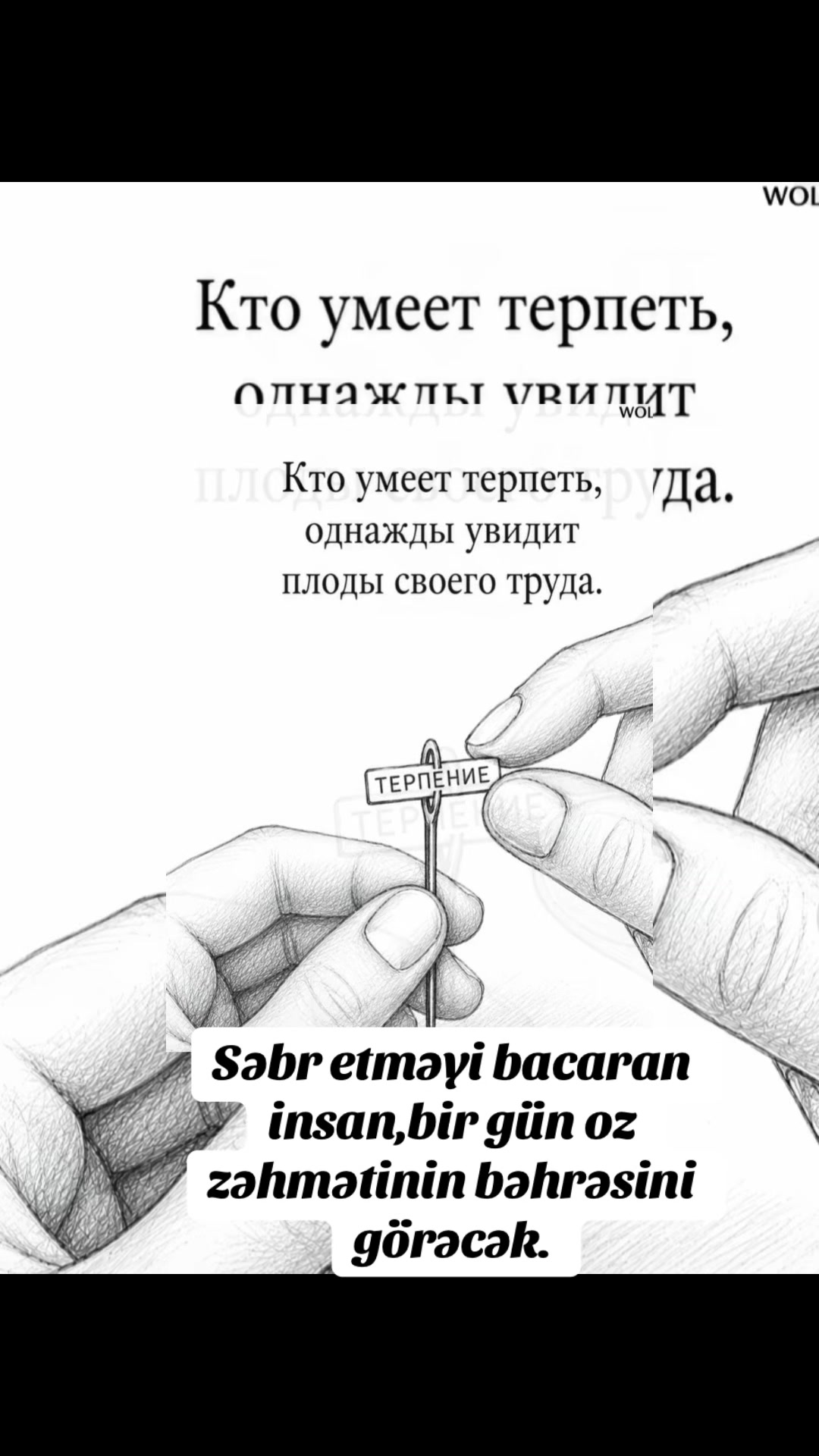 @1969 BAKI