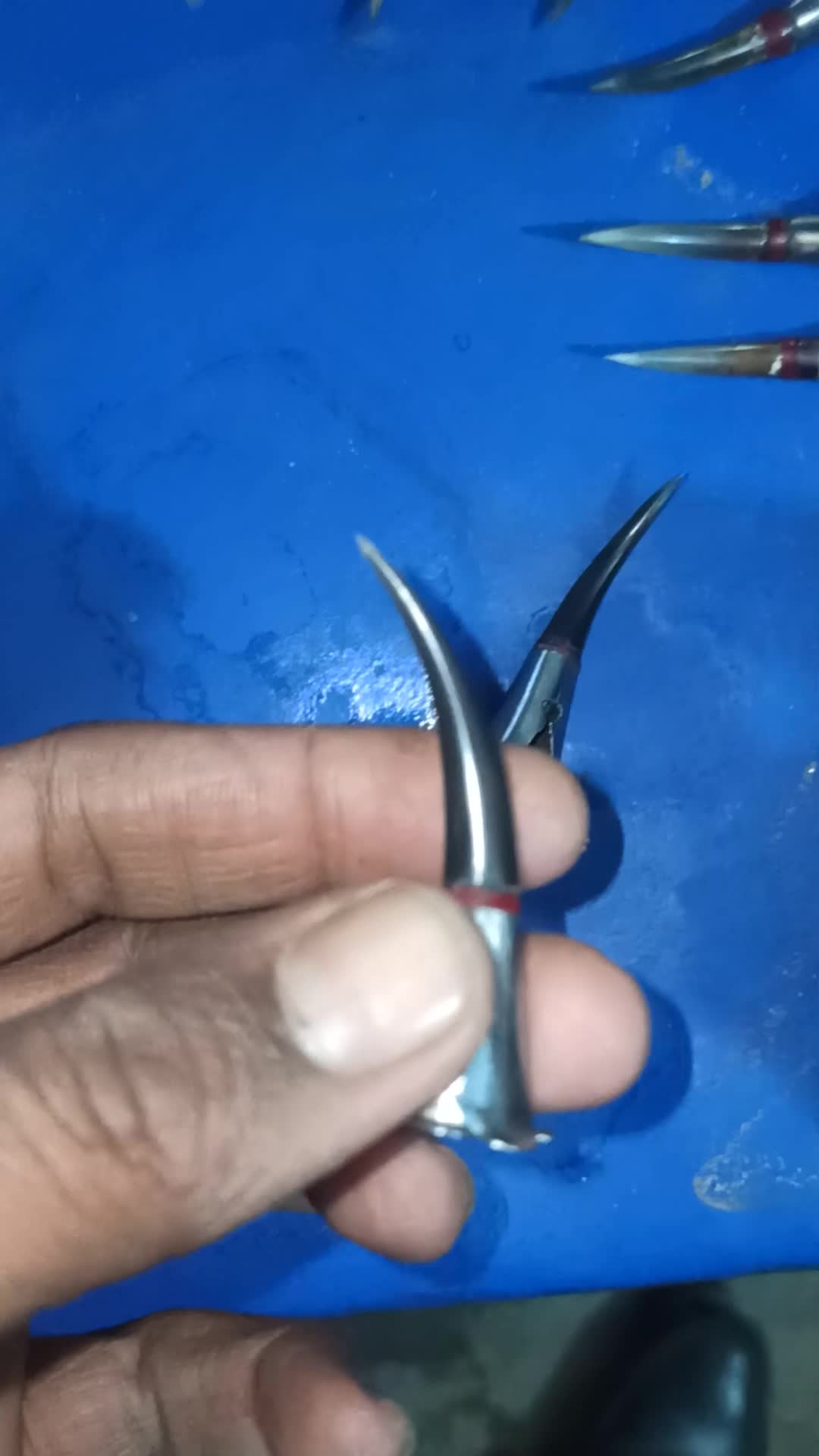 @میاں ضیاء واں بھچراں🔥