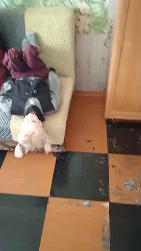 @Коля Оля