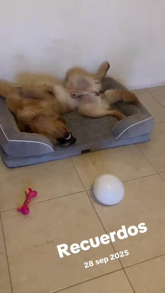 @Celita y Lumen