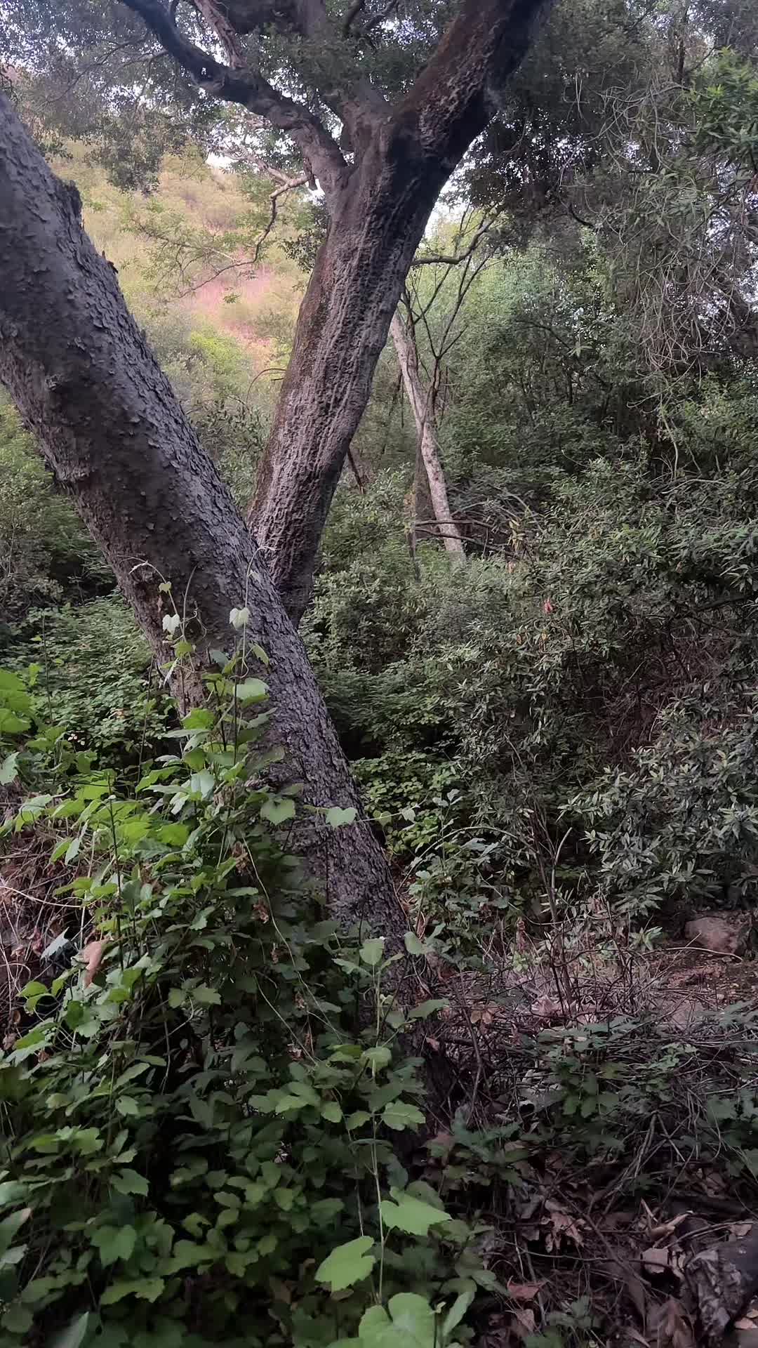 @e_arth_girl