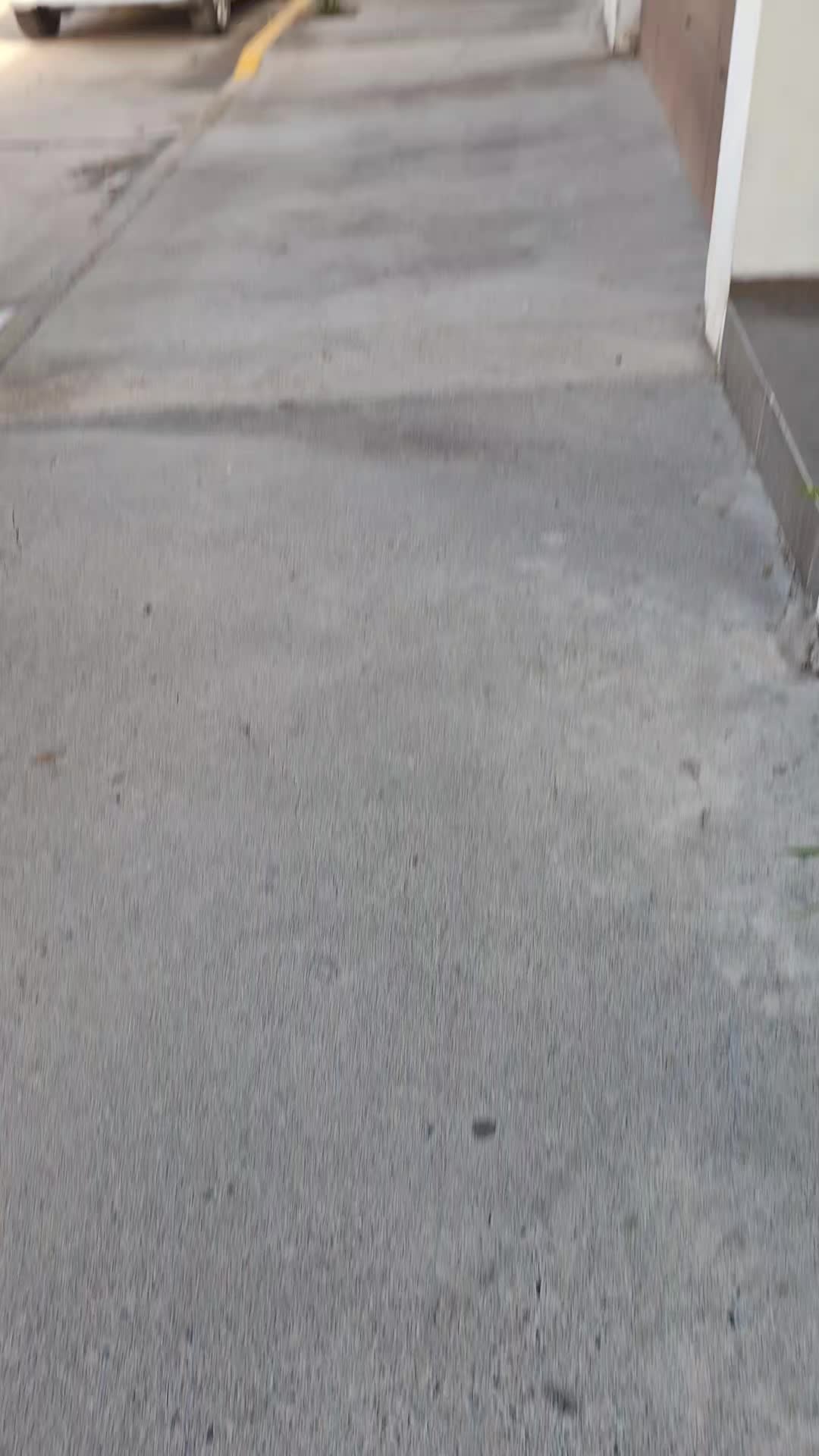 @Llama en llamas 🦙🔥