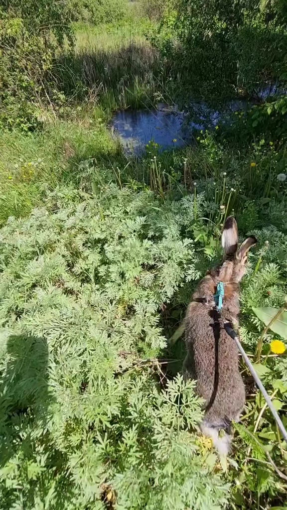 @зайка Блума💋
