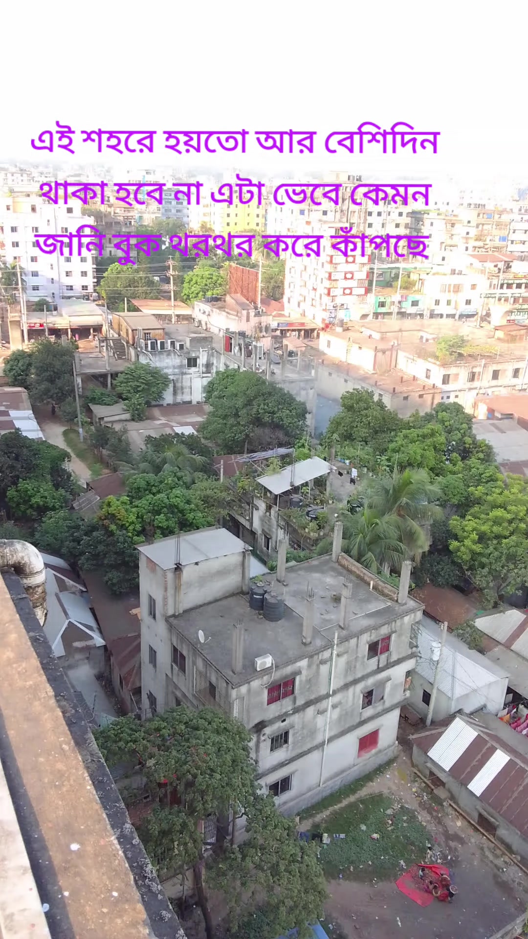 @monir